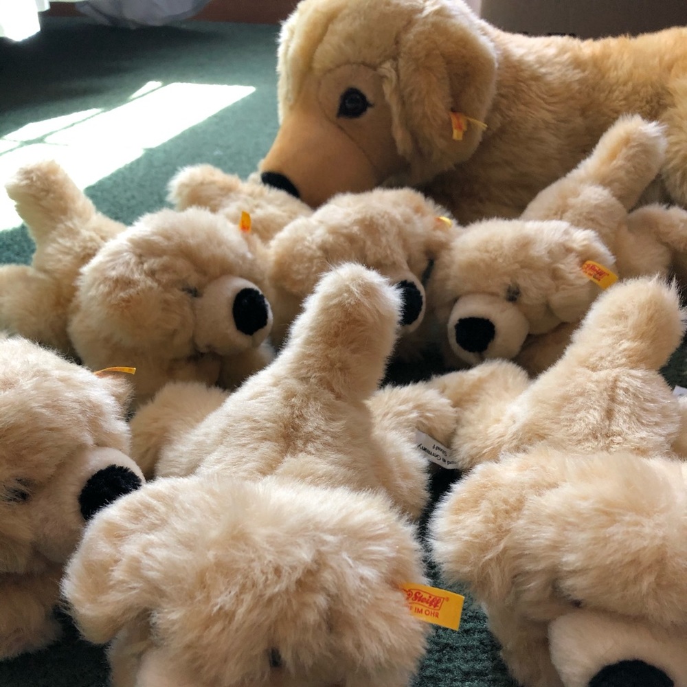 Steiff Golden Retriever with 7 Puppies